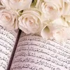 alizc22