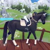 miss_11_2