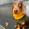 itsme.oskartheween