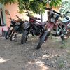 nengarsyfa8