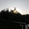 useranais20