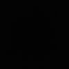 305511dm