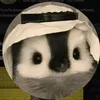 ninja_rybka