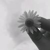 takip.et.iste