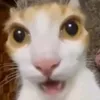 khnhquc94