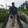muhammadsurio0