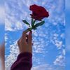 user5361995546819