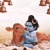amithkumar3620
