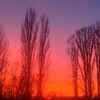 nazar_5413