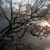 absolute.1_