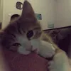 n3sska_
