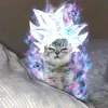 pawando0