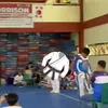 dis.okei