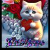 user2007790481359