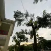 hntumelmel