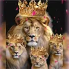 kingimgo