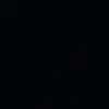 p_soares7