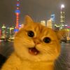 nnnn_678