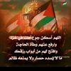 husnaahmed431
