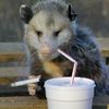rescuerandyems