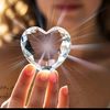 mohid.rzza