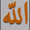 aminatladiamantnoire203