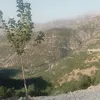 abdwllapadrawa