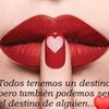 anitasarastisanto