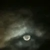 anl_al
