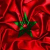 yasser.youness