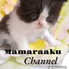 mamaraaku3