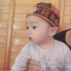 vithb2