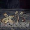 mohammed199969