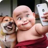 log275197