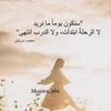 meeeem2211