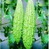 narayaaa1175