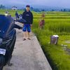 panji_eltagingseoul