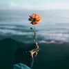 user9531773313328