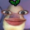 seren1ty_6
