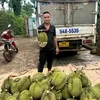 diephinhloi