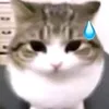 halfasleepfizz
