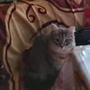 btsyouratap