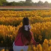 mallowriee.co