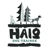 Haio Dog Trainer