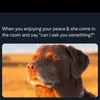 kingsley2568
