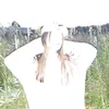 loveishappy53