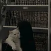 nada_abrahim_alashter313