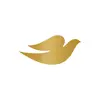 Dove Brasil