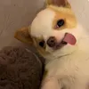 tnhug06
