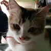 mommyiwiian